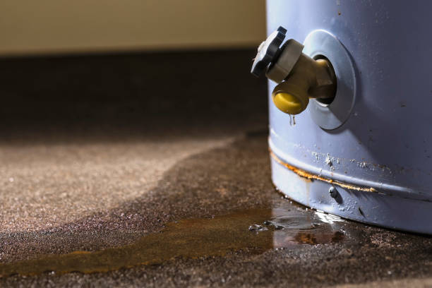 Best Residential water damage restoration  in Palisade, CO