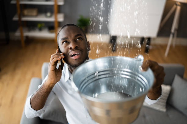 Best Flood damage cleanup  in Palisade, CO