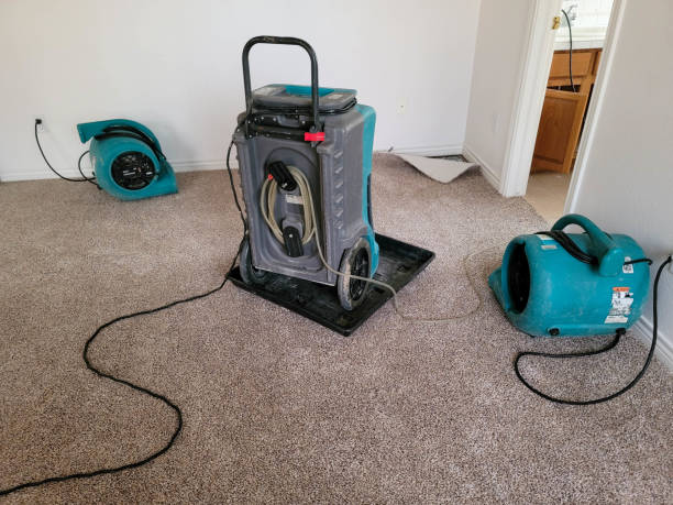 Reliable Palisade, CO Water damage restoration Solutions