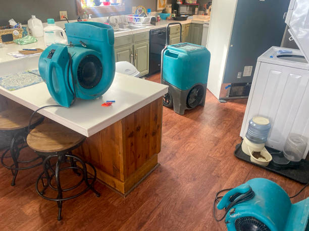 Best Fire Damage Restoration  in Palisade, CO