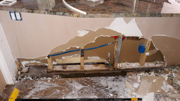 Best Carpet water damage restoration  in Palisade, CO
