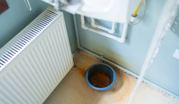Best Ceiling water damage repair  in Palisade, CO