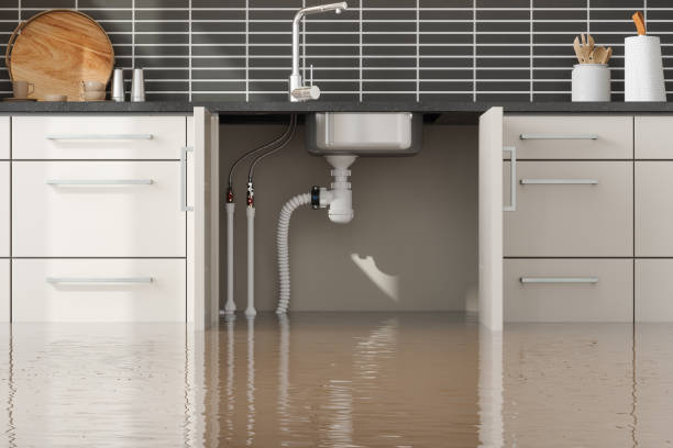 Best Flooded house restoration  in Palisade, CO
