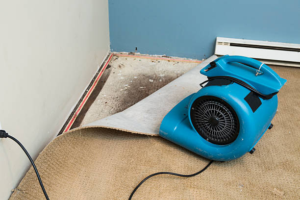 Trusted Palisade, CO Water damage restoration Experts