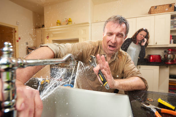 Best Fire Damage Restoration  in Palisade, CO